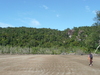  (Foto: katarina , Bako National Park, Sarawak, Malaysia am 10.12.2009) [189]