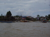  (Foto: chari , Bako National Park, Sarawak, Malaysia am 10.12.2009) [1173]