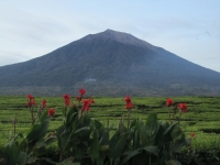 Gunung Kerinci (Foto: katarina , Kersik Tua, Sumatra, Indonesien am 22.01.2012) [2767]