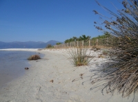 Plage de Loto (Foto: chari , Saint-Florent, Korsika, Frankreich am 08.06.2010) [1980]