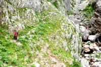 Abstieg ins Aoos-Tal (Foto: chari , Vikos-Aoos National Park, Epirus, Griechenland am 18.06.2015) [4478]
