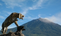 Steintiger am Fuß des Gunung Kerinci (Foto: chari , Kersik Tuo, Sumatra, Indonesien am 04.05.2015) [4599]