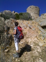 Aufstieg zum Turm von Roccapina (Foto: chari , Cala di Roccapina, Korsika, Frankreich am 30.05.2016) [4675]