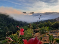 Ausblick aus dem Restaurant Aitone (Foto: katarina , Evisa, Korsika, Frankreich am 28.05.2024) [5955]