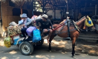 Besonderer Transport: Lieferung und Abholung (Foto: katarina , Gili Air, Lombok, Indonesien am 22.07.2026) [6373]