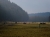 Flachlandwisente - ein Hauch von Marlboro-Country (Foto: philip , Hardehausen, Oberes Weserbergland 36, Deutschland am 14.03.2010) [1814]