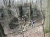 das ist Dirk, Wander-Guide und Teuto-Spezialist ... (Foto: katarina , Bielsteinschlucht, Oberes Weserbergland 36, Deutschland am 15.04.2010) [1897]