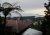 Farnpalme und Blick auf Wolken über der Crocker Range, Nähe HQ (Foto: chari , Kinabalu Park, Sabah, Malaysia am 13.02.2011) [2335]