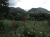 Bei Saint-Florent mit Blick ins Wein-Gebiet des Patrimonio (Foto: katarina , Saint-Florent, Korsika, Frankreich am 08.06.2011) [2425]