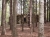 Bunker der tschechoslowakischen Verteidigung von 1938 (Foto: philip , Studený, Lausitzer Gebirge, Tschechien am 29.04.2012) [3092]