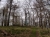 Der Gipfel des Kaltenbergs (Studenec) 736,5m (Foto: philip , Studený, Lausitzer Gebirge, Tschechien am 29.04.2012) [3098]