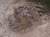 Godzilla war auch schon hier... (Foto: philip , Křižový Buk, Lausitzer Gebirge, Tschechien am 29.04.2012) [3115]