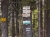 Wegweiser "unter dem kleinen Eibenberg", 3km hinter Kreuzbuche (Foto: philip , Křižový Buk, Lausitzer Gebirge, Tschechien am 29.04.2012) [3116]