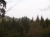 erster Blick auf den Tolštejn vom Weg am großen Eibenberg (Velká Tisová) (Foto: philip , Tolštejn, Lausitzer Gebirge, Tschechien am 29.04.2012) [3117]