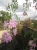 Blick auf die Chapelle St. Clement (Foto: katarina , Cap Corse, Korsika, Frankreich am 02.10.2012) [3600]