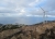 Blick von den Windmühlen bis zur isula di Capezza (Foto: katarina , Centuri, Korsika, Frankreich am 07.10.2013) [3960]