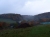 Misthaufen auf dem Weg zur Burg (Foto: philip , Burg Haineck, Thüringer Becken 47 48, Deutschland am 20.10.2013) [4034]