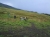 Abstieg im Regen (Foto: chari , Gunung Rinjani, Lombok, Indonesien am 16.12.2014) [4373]