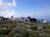 Freie Ziegen mit langen Haaren (Foto: katarina , Cap Corse, Korsika, Frankreich am 06.10.2015) [4567]