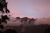 Erster Blick auf den Kinabalu (Foto: chari , Kinabalu Park, Sabah, Malaysia am 19.08.2016) [4695]