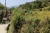 Gärten hinter dem Monal Tourist Home (Foto: chari , Uttarkashi, Uttarakhand, Indien am 26.04.2019) [5146]