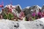 Storchschnabelgewächst im Kalkfelsen-Beet (Foto: katarina , Astraka Hütte, Epirus, Griechenland am 02.07.2019) [5235]