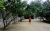 Allee mit Frangipani Bäumen beim Seri Resort (Foto: katarina , Gili Meno, Lombok, Indonesien am 28.12.2022) [5597]