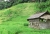 Terassenfelder und Vieh-Hütte (Foto: chari , Sidemen, Bali, Indonesien am 03.01.2023) [5603]