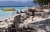 abgespülter Strand (Foto: chari , Gili Meno, Lombok, Indonesien am 20.07.2026) [6361]