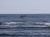 Fischerboote in den Wellen (Foto: chari , Amed, Bali, Indonesien am 04.08.2026) [6412]