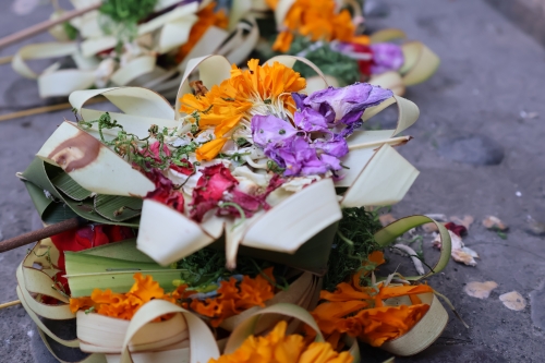 Opferschälchen mit Blüten (Foto: chari , Padangbai, Bali, Indonesien am 12.07.2026) [6318]