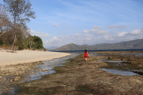 Gehen über Seegras bei Ebbe (Foto: chari , Gili Nanggu, Lombok, Indonesien am 28.07.2026) [6393]